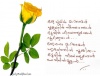 Oru pushpam